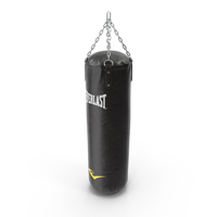 Everlast Hanging Punching Bag PNG & PSD Images