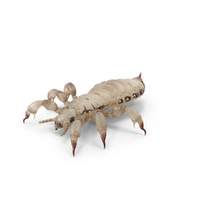 Louse White Hiding Pose PNG & PSD Images