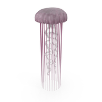 Pink Glow Jellyfish PNG & PSD Images