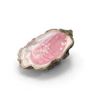 Oyster Shell Pink PNG & PSD Images