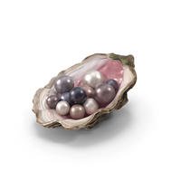 Colored Oyster Shell with Pearls PNG & PSD Images