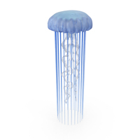 Deep Blue Jellyfish PNG & PSD Images
