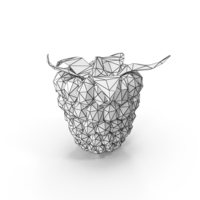 Wireframe Raspberry PNG & PSD Images