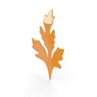 Autumn Leaf PNG & PSD Images