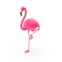 Flamingo PNG & PSD Images