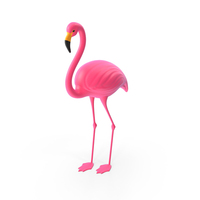 Pink Flamingo PNG & PSD Images