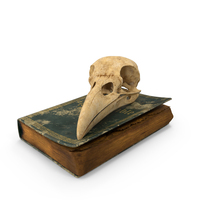 Dark Academia Book with Bird Skull PNG & PSD Images