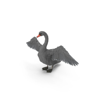Gray Swan PNG & PSD Images