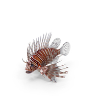 Lionfish Marine Creature PNG & PSD Images