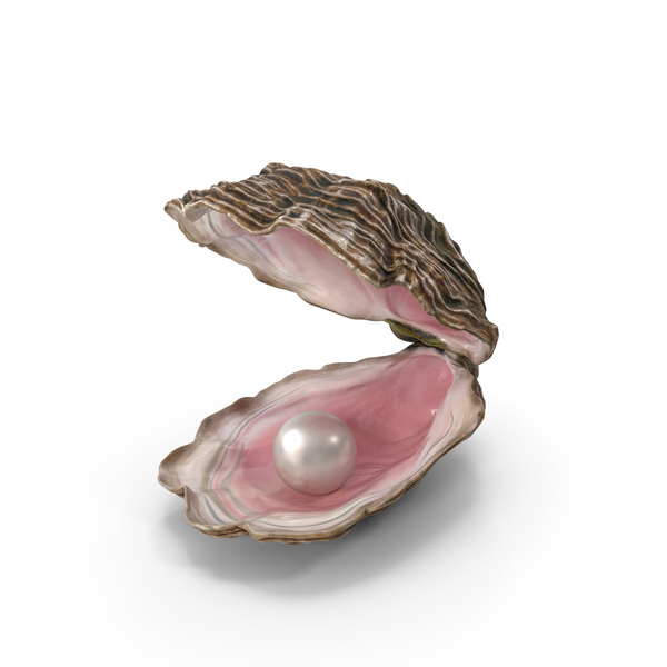 Pearl Inside Oyster Shell PNG & PSD Images