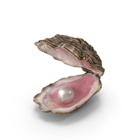Pearl Inside Oyster Shell PNG & PSD Images