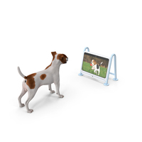 Dog Watching Dogsplay TV PNG & PSD Images