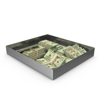 Tray With US 20 Dollar Money Lots PNG & PSD Images