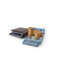 Wallet Nigerian 1000 Naira Money Bills Gold Coins PNG & PSD Images