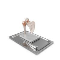 Anatomical Model Of Shoulder Joint With Volkmann Bone Curette PNG & PSD Images