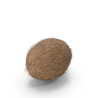 Coconut Fur PNG & PSD Images