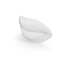 Woman Lips Wireframe PNG & PSD Images