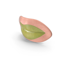Woman Lips PNG & PSD Images