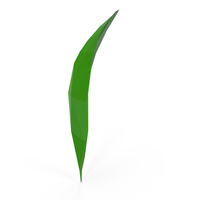 Leaf PNG & PSD Images