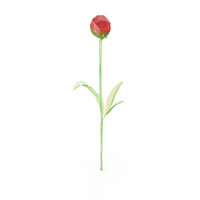 Glass Peony Flower PNG & PSD Images