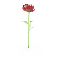 Glass Peony Flower PNG & PSD Images