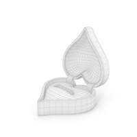 Heart Shaped Empty Ring Box Open Wireframe PNG & PSD Images