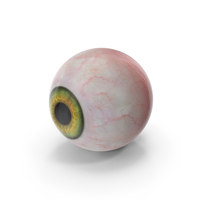 Realistic Human Green Eyeball PNG & PSD Images