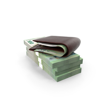 Wallet 100 Euro Money Bills Gold Coins PNG & PSD Images