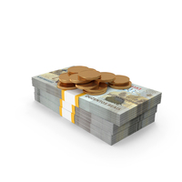 Gold Coins WIth Brasil 200 Reais Money Bill PNG & PSD Images
