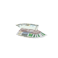 Money Brasil 200 Reais Bills Bank notes PNG & PSD Images