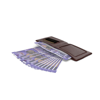 Brown Wallet Bill Indian 100 Rupees Money Coins PNG & PSD Images