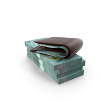 Wallet Jordan 20 Dinars Money Bills Gold Coins PNG & PSD Images