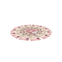 Circlular Arranged Saudi 100 Riyals Few PNG & PSD Images