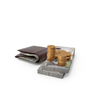 Wallet Saudi 200 Riyals Money Bills Gold Coins PNG & PSD Images