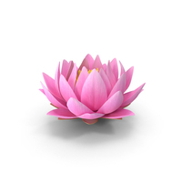 Realistic Nymphaea Siam Pink PNG & PSD Images