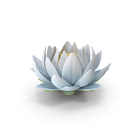 Realistic Nymphaea Siam White PNG & PSD Images