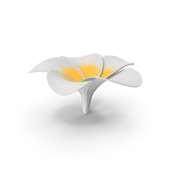 Realistic Plumeria White PNG & PSD Images