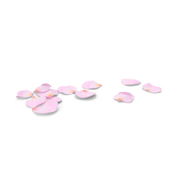 Realistic Rose Petals PNG & PSD Images