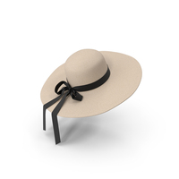 Fashionable Wide Brim Hat with Bow PNG & PSD Images