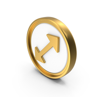 Enlarge Circular Coin PNG & PSD Images