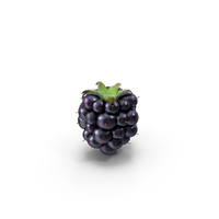 Realistic Blackberry With Fur PNG & PSD Images