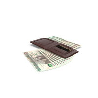 Leather Wallet Ground Bill Egypt 100 Pounds Money PNG & PSD Images