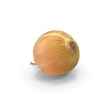 Onion PNG & PSD Images