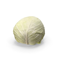 Cabbage PNG & PSD Images