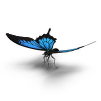 Papilio ulysses蝴蝶PNG和PSD图像