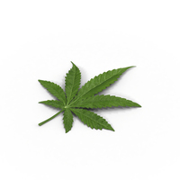 Marijuana Leaf PNG & PSD Images