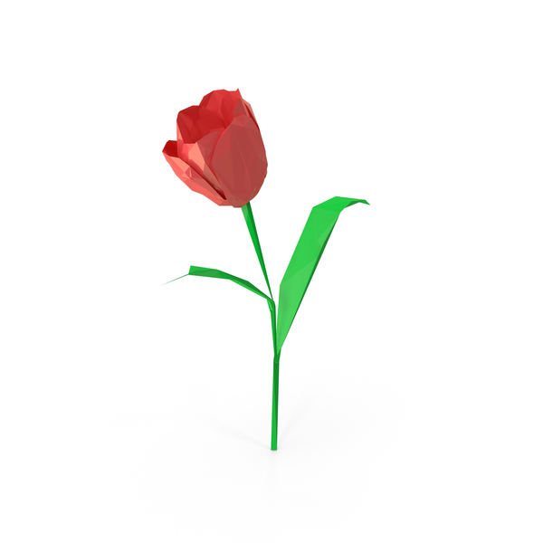 Low Poly Tulip PNG & PSD Images