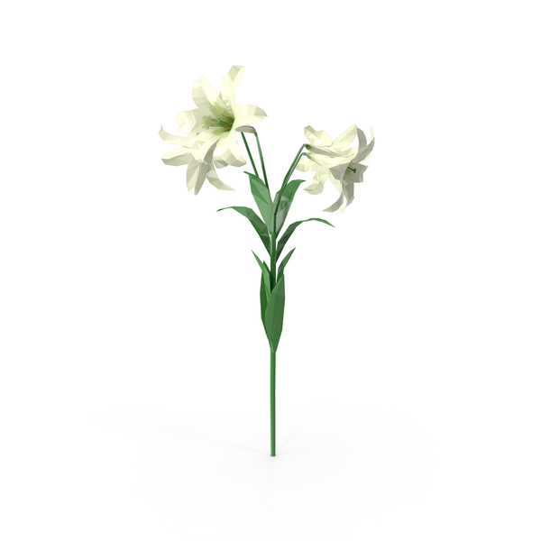 Polygonal Lily Flower PNG & PSD Images
