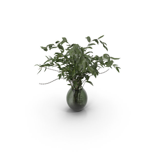 Flower Pot: A bouquet of Nettle and Magnolia PNG & PSD Images Flower Pot: A bouquet of Nettle and Magnolia PNG & PSD Images