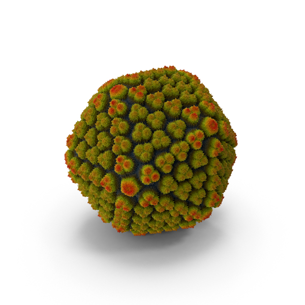 Adenovirus PNG & PSD Images